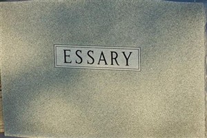Irvin R Essary Irvin R Essary