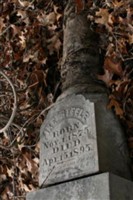 Isaac M "Ike" Steele