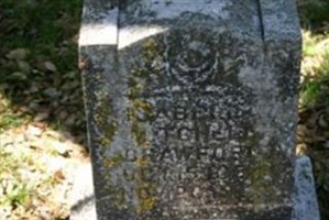 Isabella Mitchel Crawford