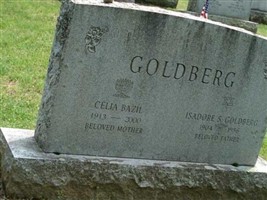 Isadore S Goldberg
