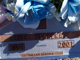 Isel Herrera Isel Herrera