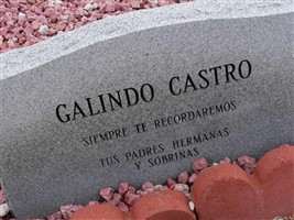 Isela Galindo Castro Isela Galindo Castro