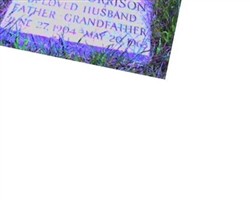 Isidore Irving Morrison Isidore Irving Morrison