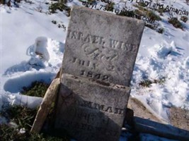 Israel Wise
