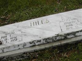 Iva E. Hiles