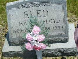 Iva Reed