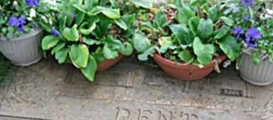 Ivan A. Dent Ivan A. Dent