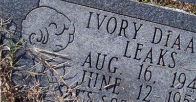 Ivory Diaann Leaks