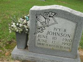 Ivy B Johnson