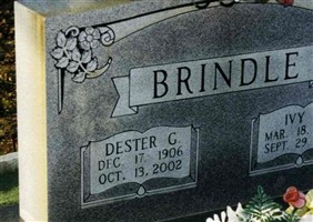 Ivy E. Brindle