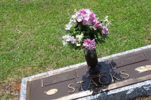 Ivy Joyce Miller Stacks Ivy Joyce Miller Stacks