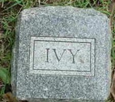 Ivy Shockley Ivy Shockley