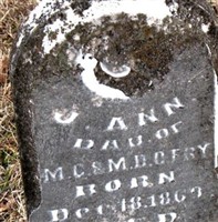 J. Ann Fry