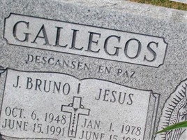 J. Bruno Gallegos J. Bruno Gallegos