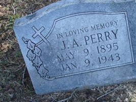J. A. Perry J. A. Perry
