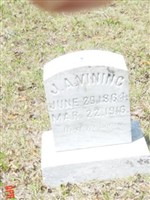 J A Vining