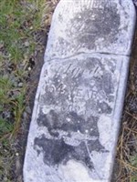 J A Willard