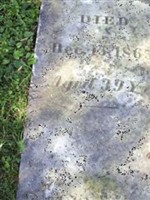 Jabez Adle