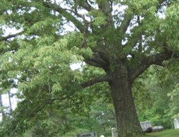 Jacks Creek Cemetery