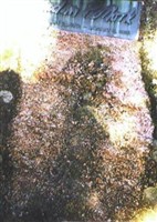 Jackson Pollock