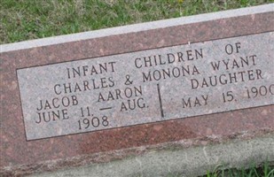 Jacob Aaron Wyant Jacob Aaron Wyant