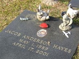 Jacob Anderson Hayes Jacob Anderson Hayes