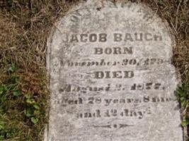 Jacob Baugh