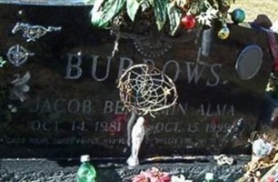 Jacob Benjamin Alma Burrows Jacob Benjamin Alma Burrows