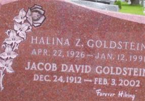 Jacob David Goldstein