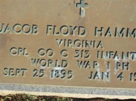 Jacob Floyd Hammock