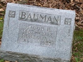 Jacob H Bauman