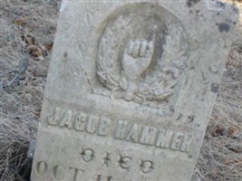 Jacob Hammer