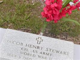 Jacob Henry Stewart