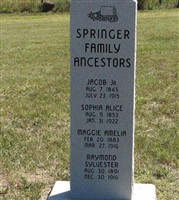 Jacob Springer, Jr Jacob Springer, Jr
