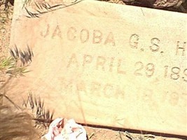 Jacoba G S Haigh