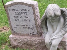 Jacqueline D. Cooney Jacqueline D. Cooney