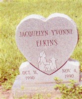 Jacquelyn Yvonne Elkins