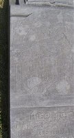Jakob T. Krause