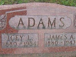James A Adams
