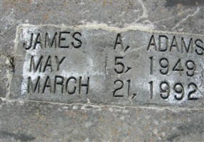 James A. Adams James A. Adams