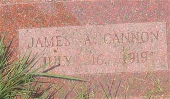 James A Cannon