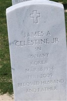 James A. Celestine, Jr James A. Celestine, Jr