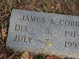 James A Cobb