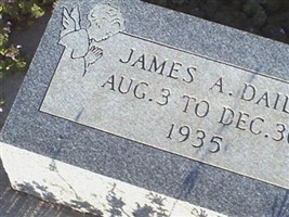 James A Daily