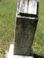 James A EILAND James A EILAND