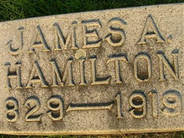 James A Hamilton James A Hamilton