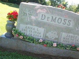 James A. "Jim" DeMoss James A. "Jim" DeMoss