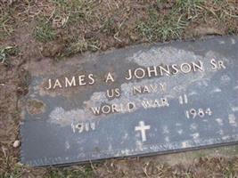 James A Johnson