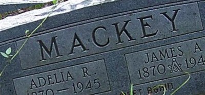 James A. Mackey James A. Mackey