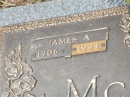 James A. Mcgraw James A. Mcgraw
